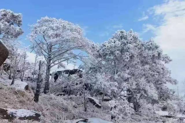 l今天福建好多地方"下雪"啦!"湿冷"模式开启!福州最低温降至5℃!