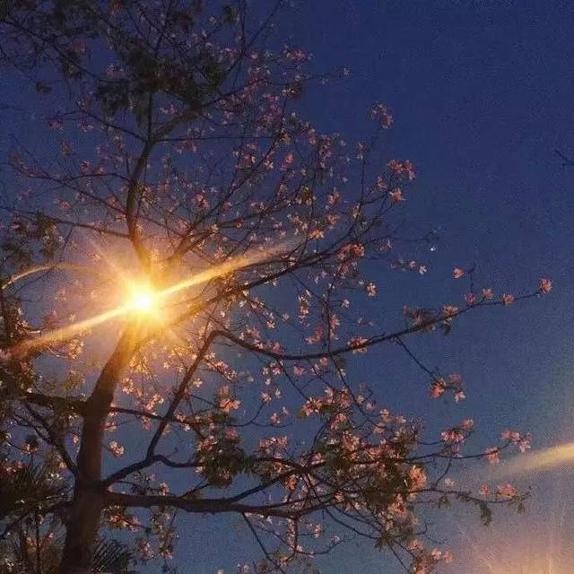意境版朋友圈背景图集