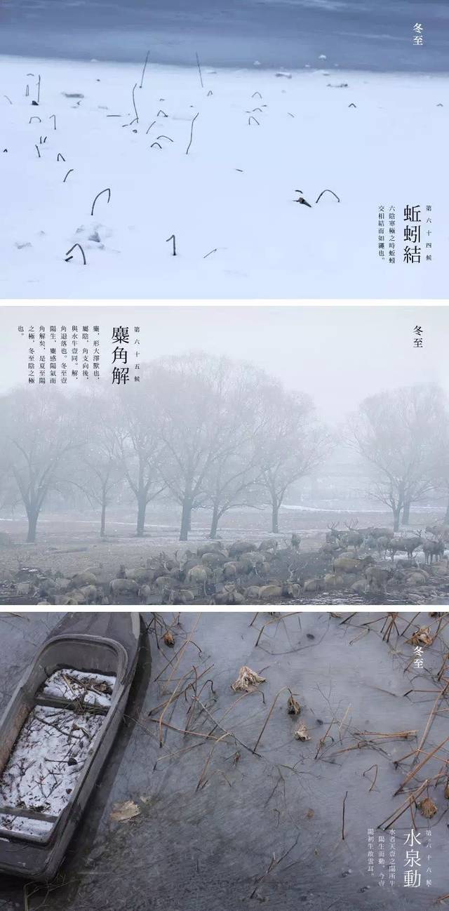 大雪| 雪多了韵味,冬便有了诗意