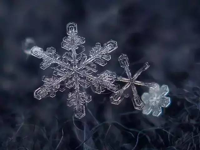 他用九年拍摄一片片雪花,一部烂相机却展现了晶莹剔透