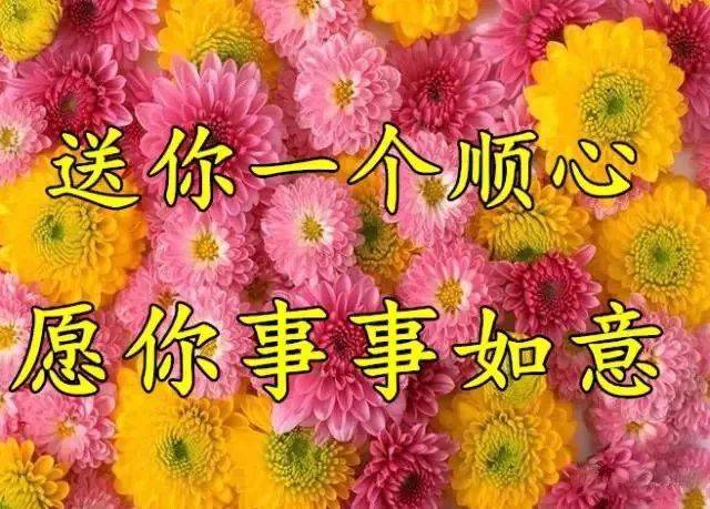 祝大家健康快乐,冬日安好!