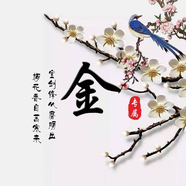 你的微信头像该换了,35张梅花百家姓氏图,有你的姓氏吗?