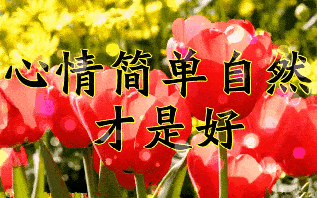 「2020金鼠送福高清手机壁纸」,没水印,请拿走,不谢