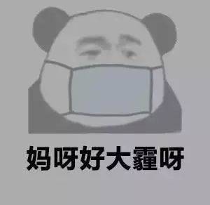 河南人口罩_戴口罩的卡通图片(2)