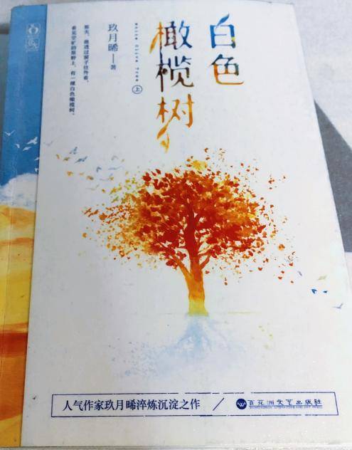 《白色橄榄树》属于现代战争爱情类,讲了维和军人李瓒和战地记者宋冉