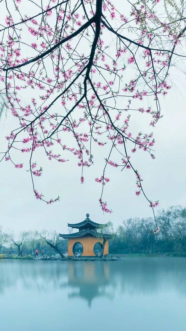 清溪 尤其到雨天,烟雨蒙蒙中的瘦西湖,更是将扬州的婉约之美,体现得