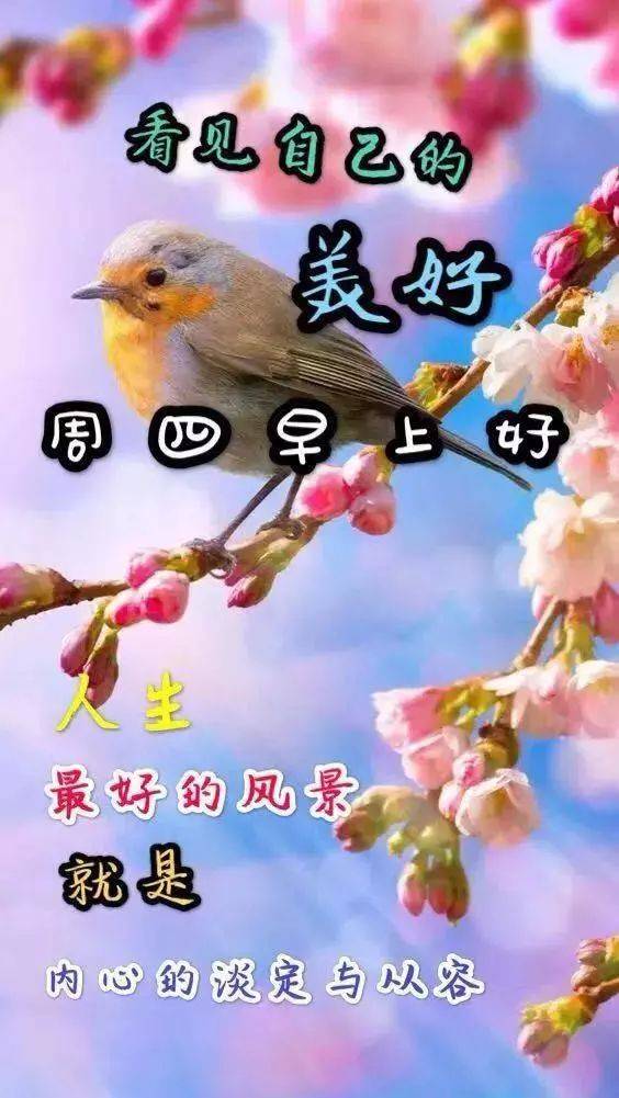 星期四最新漂亮早上好动态美图鲜花带字,早晨好幸福暖