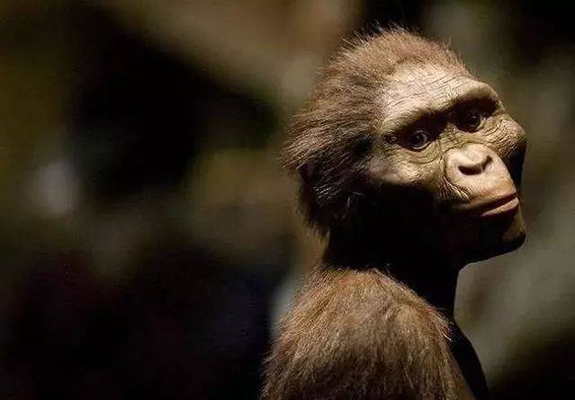 我们的祖先并不是猿猴?而是一种海洋水怪?科学家正在全力寻找它