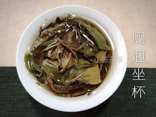 老白茶煮出来感觉都太浓?不,且看浓茶的定义是