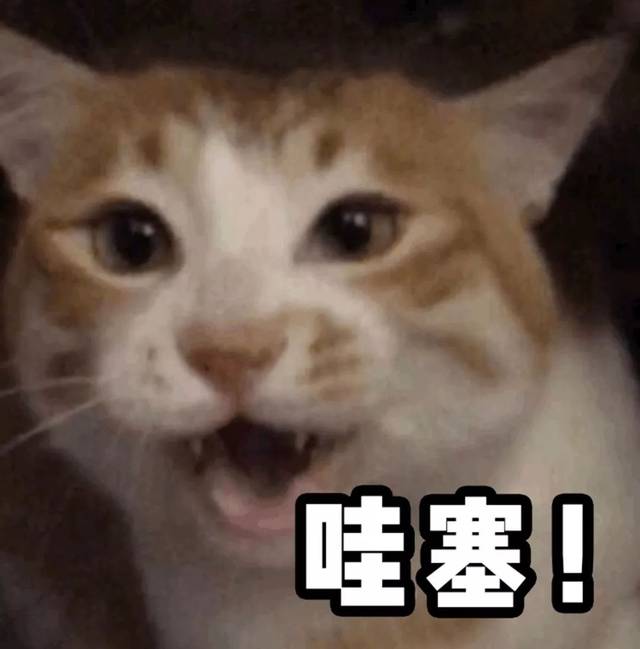一不小心就能收获意外惊喜.