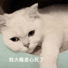 壁纸,搞笑表情包,可前往公众号:天天表情