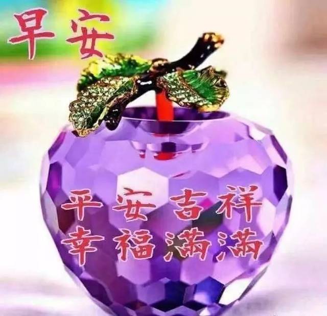 星期四最新漂亮早上好动态美图鲜花带字,早晨好幸福暖