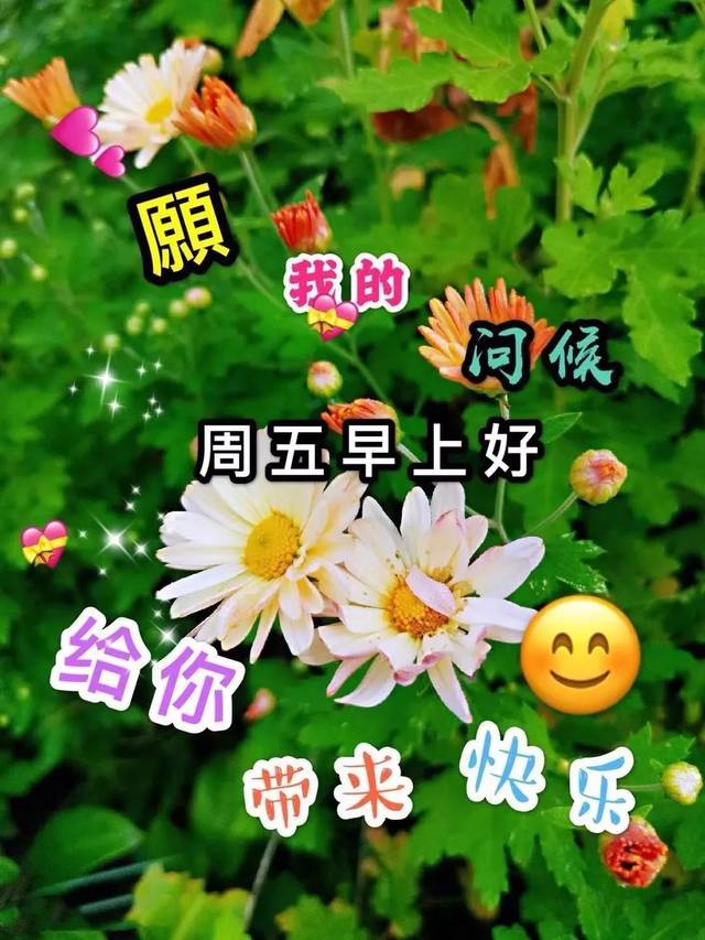 星期五最新漂亮早上好动态美图鲜花带字,早晨好幸福暖