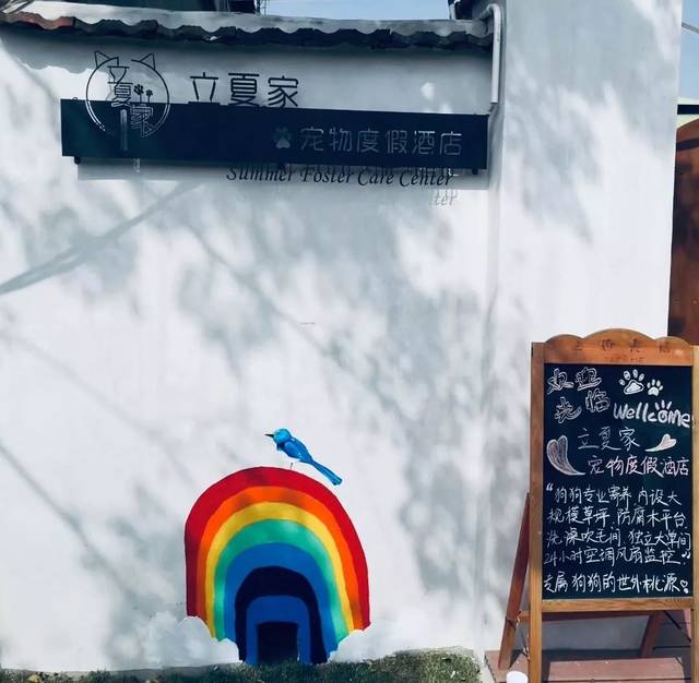 汪～这场治愈人心的『动物派对』明天开趴!铲屎官们ready!