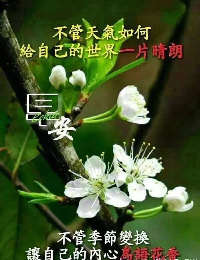 星期五最新漂亮早上好动态美图鲜花带字,早晨好幸福暖