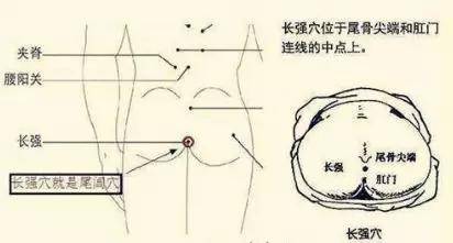 长强穴的位置