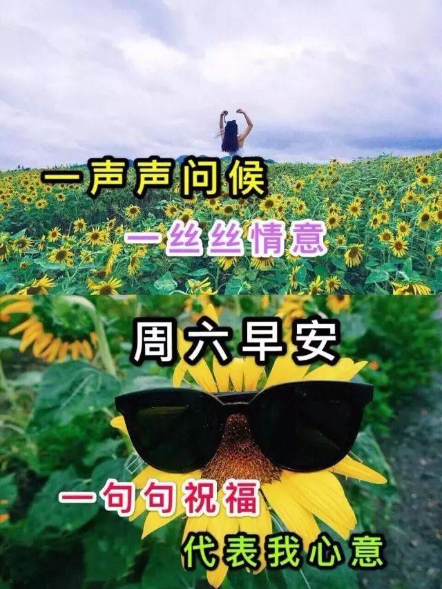 星期六最新漂亮早上好动态美图鲜花带字,早晨好幸福暖