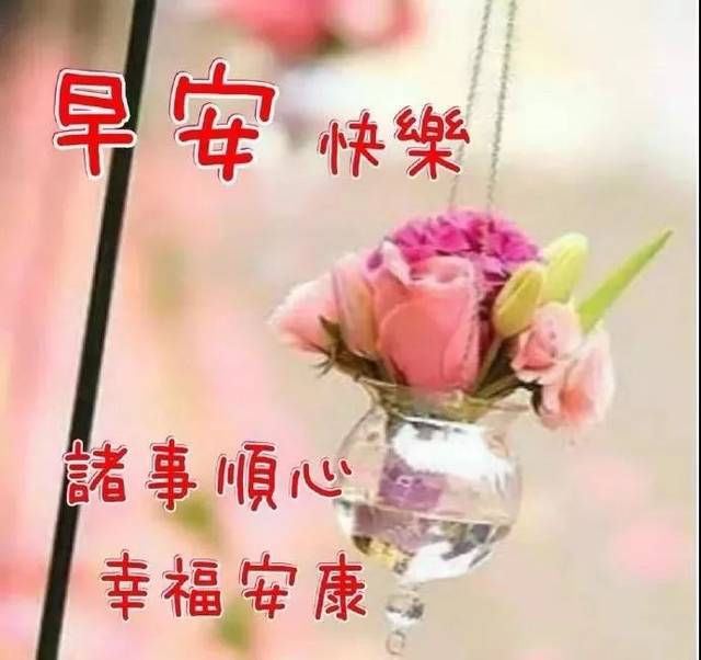 星期六最新漂亮早上好动态美图鲜花带字,早晨好幸福暖