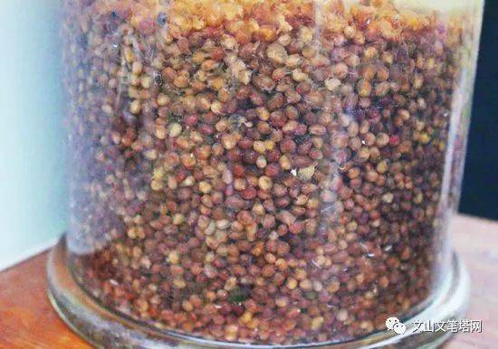 【笔塔热点】神奇!文山惊现地球上进化生活3.