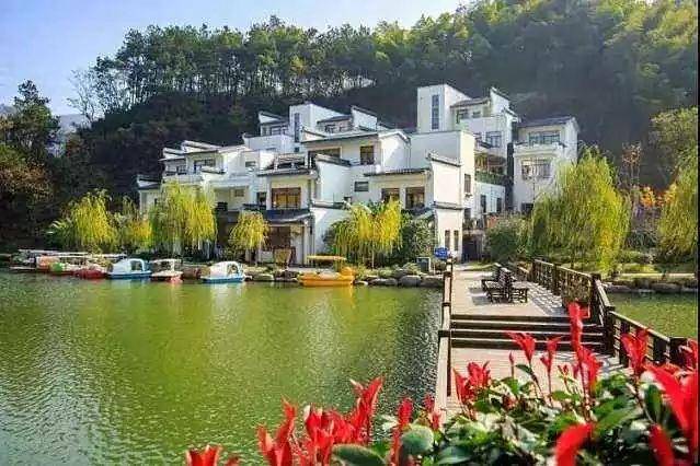 义乌出了个网红村被誉为浙江普罗旺斯,一到5月百亩紫色花海盛放