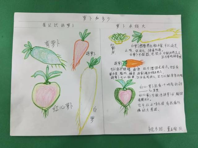 们和家长说了说在种植园拔萝卜的趣事,并画了一张萝卜知多少的调查表!