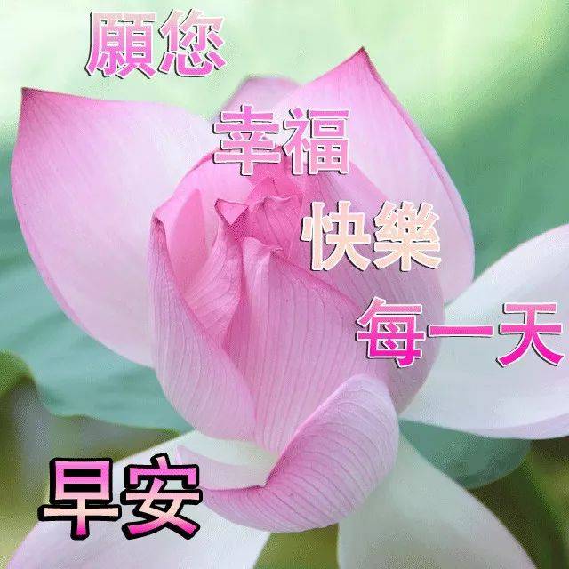 玄冬腊月大家早晨好祝福语 新的一周早上好图片大全