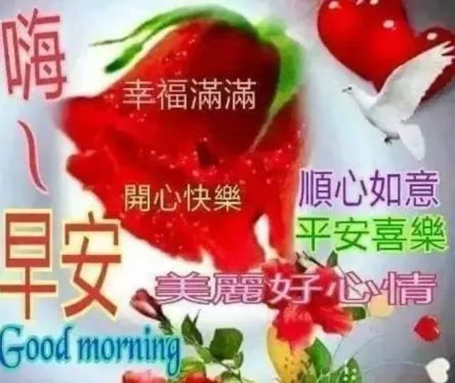 非常温馨早安问候语动态图片表情早上好祝福语问候短信