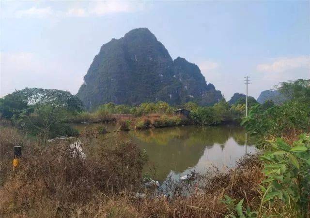 阳春"那乌古桥"藏匿于林间一道风景,一起去看看.