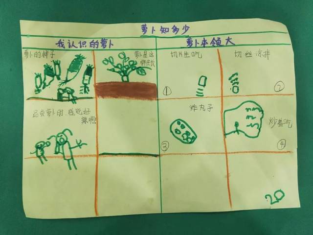 并画了一张萝卜知多少的调查表!