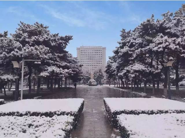 雪景丨今冬京城第二场大雪如约而至,一起来看美成仙境