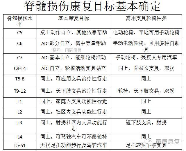 脊髓损伤超全面总结(解剖,类型,评定,康复.)