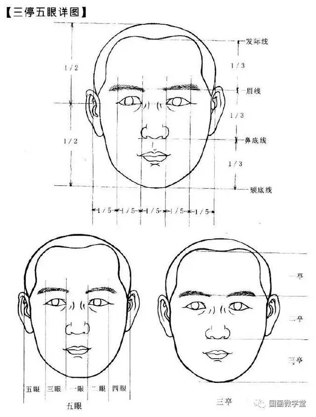 从入门到起步:白描五官图像