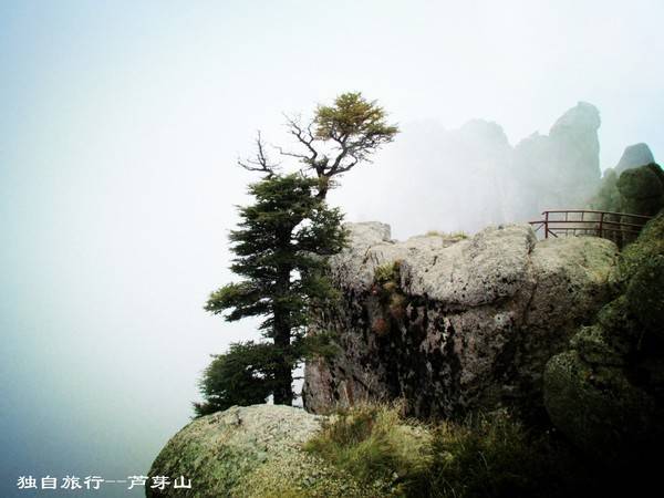 壮美宁武--芦芽山,马仑草原,情人谷,悬崖古栈道