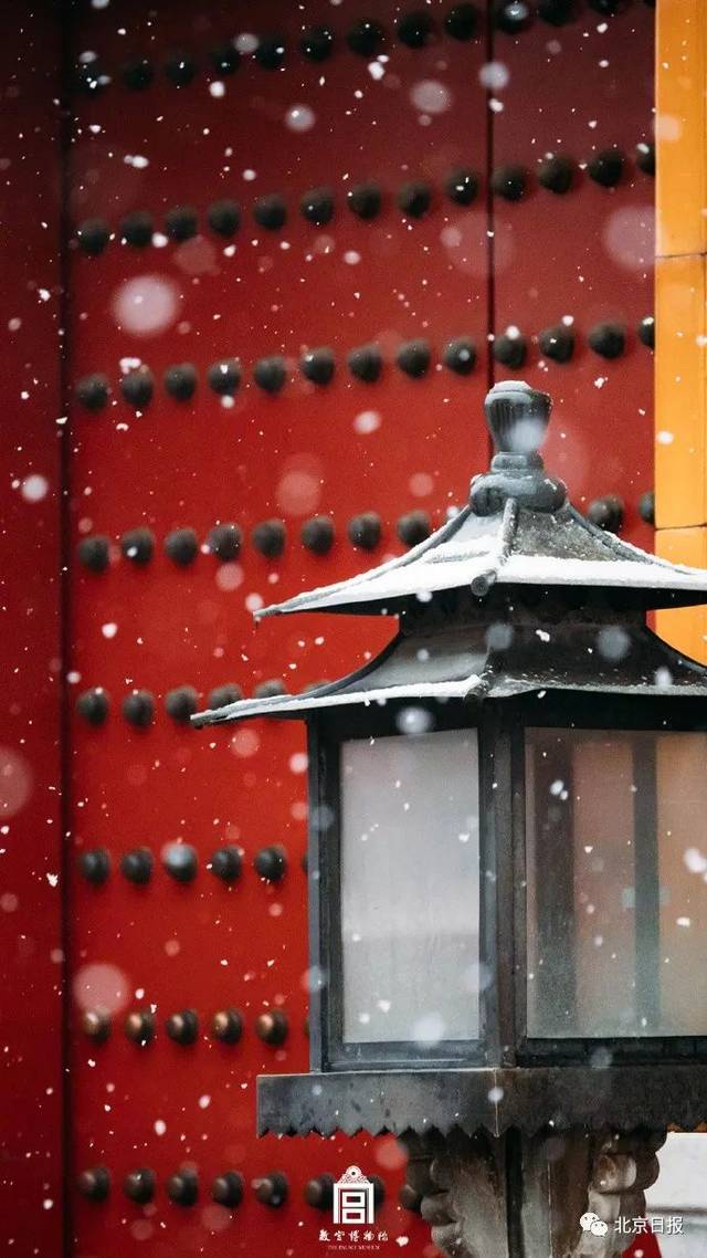 故宫雪景"美"上三个热搜,这只小狮子的表情亮了