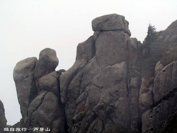 壮美宁武--芦芽山,马仑草原,情人谷,悬崖古栈道