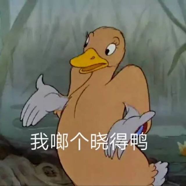 聊天斗图表情包 i 妹妹,今晚有空吗?