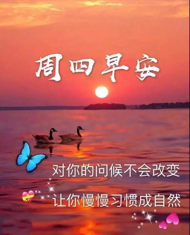 星期四最新漂亮早上好动态美图鲜花带字,早晨好幸福暖