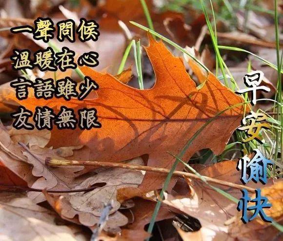 冬日清晨早上好问候祝福语动态图片 最美早晨好问候动态图片表情带字