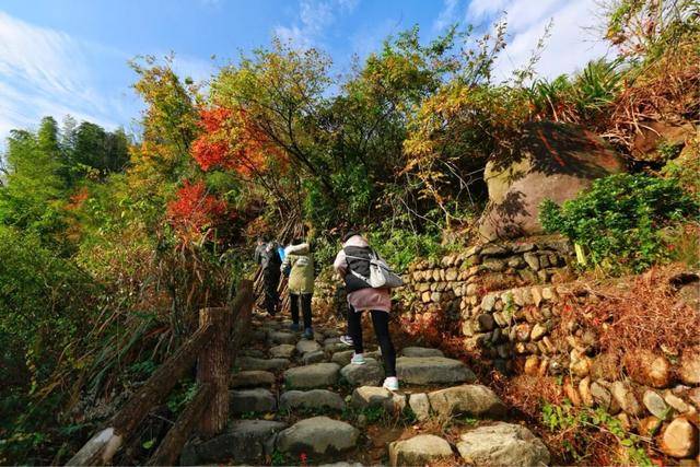 自在宁国丨探寻历史文脉,走读