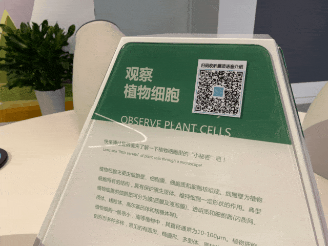 传说中的海信科学探索中心真的好玩吗？