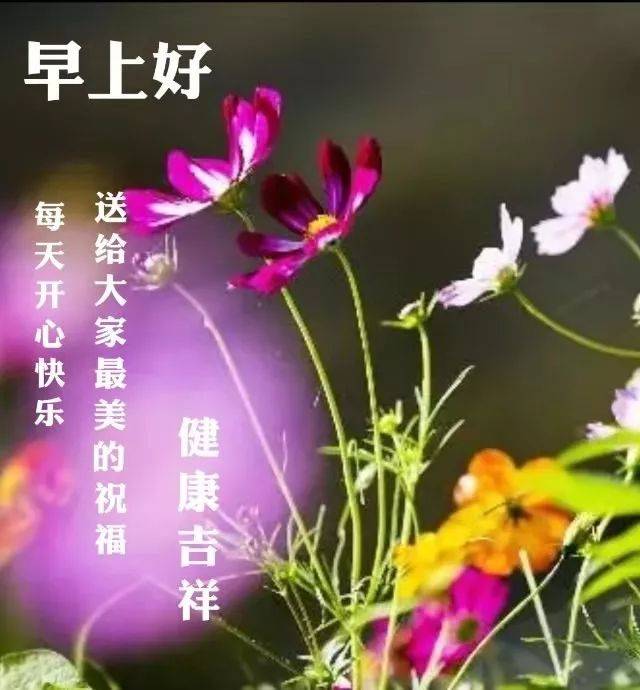 早上好,送给大家最美最真的祝福,愿你开心,健康吉祥!