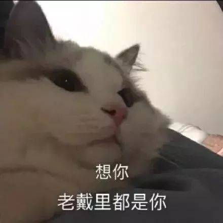 今日份沙雕表情包 | 我确实馋他的身子