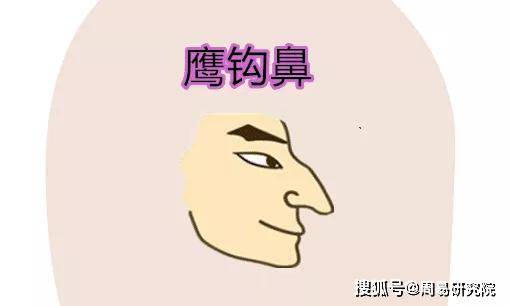 鹰钩鼻