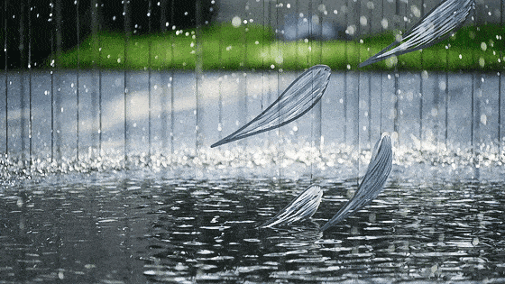 别人的水景设计,膜拜下!