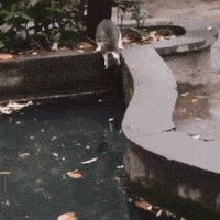 搞笑gif:坐了一晚上火车硬座.我去厕所经过吸烟区