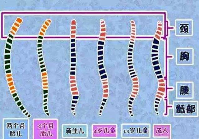 2)错误护理,最容易给脊椎发育埋隐患