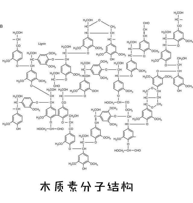 首先我们要知道木头是混合物,它的主要组成是纤维素,半纤维素和木质