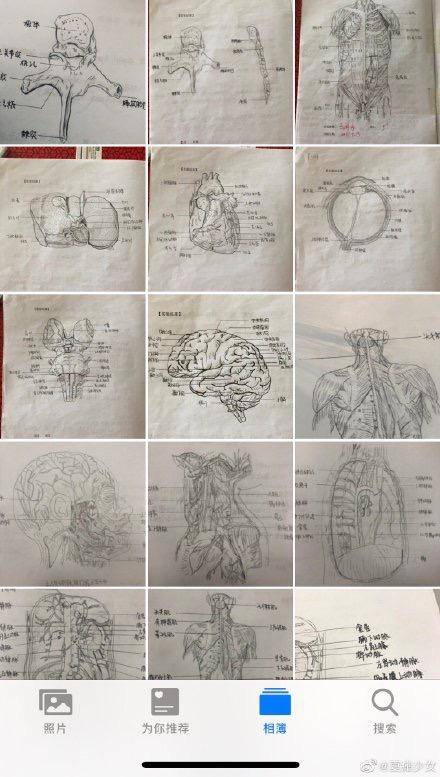 看看医学专业学生的笔记,不会画画的医学生太难了