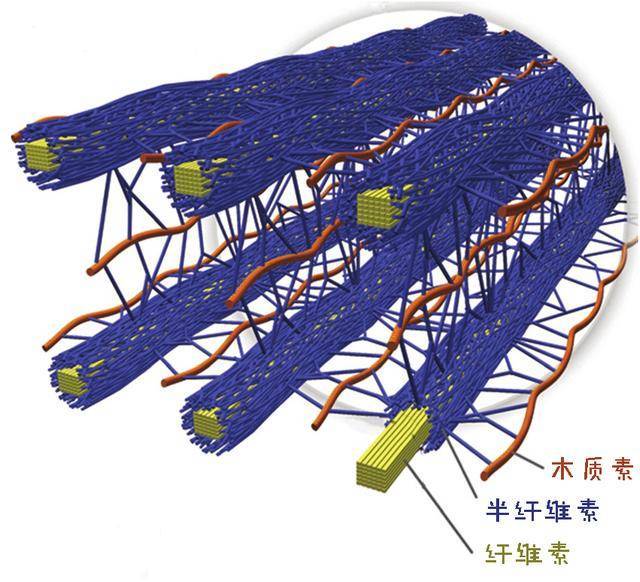 首先我们要知道木头是混合物,它的主要组成是纤维素,半纤维素和木质