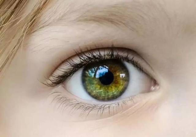 眼睛模糊看不清?可能是你的肝脏出了问题!